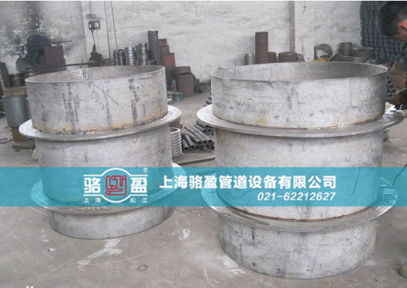 駱盈雙翼環人防套管